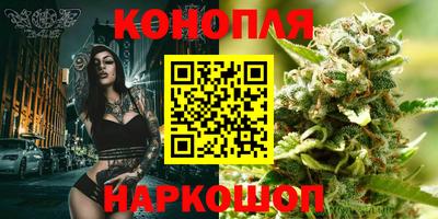 прущие грибы Нарткала