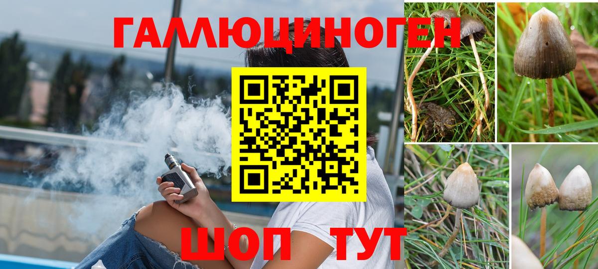 Вышний Волочёк  Псилоцибиновые грибы мухоморы  Вход с VPN 