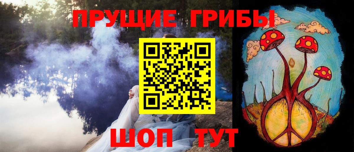 Галлюциногенные грибы прущие грибы Вышний Волочёк
